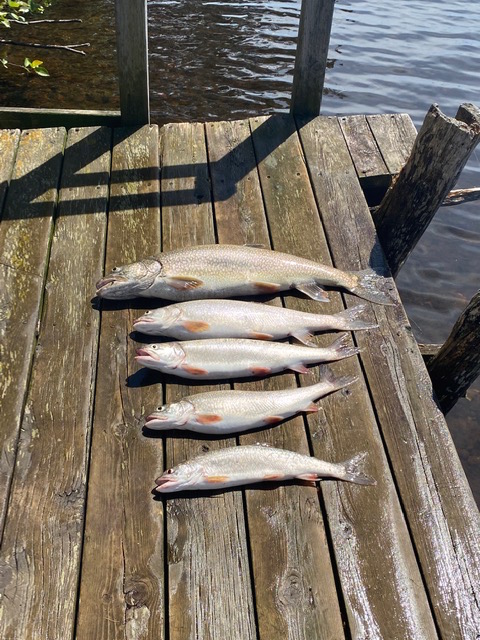 fish on dock